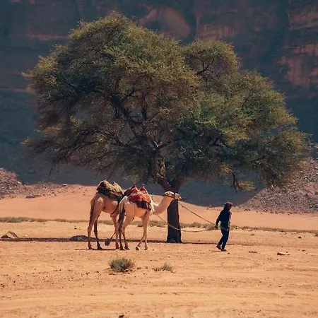 Bedouin Host Camp& With Tour Hotel Wadi Rum Exterior photo